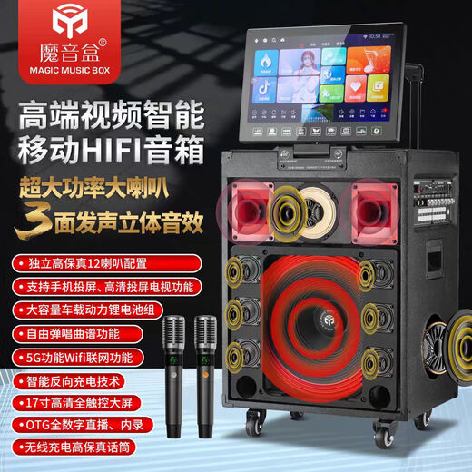 Magic Sound Box A17 Outdoor Trolley Bluetooth Speaker Square Dance Karaoke Portable Mobile Singing Speaker with Display Black Speaker+Dual Microphone+HD Cable+Accessories