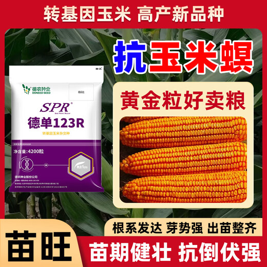 壮汉转基因高产玉米种子抗倒抗旱大棒抗虫矮杆封顶性好高净度苞谷种 转基因抗虫高产【3950粒】封顶好