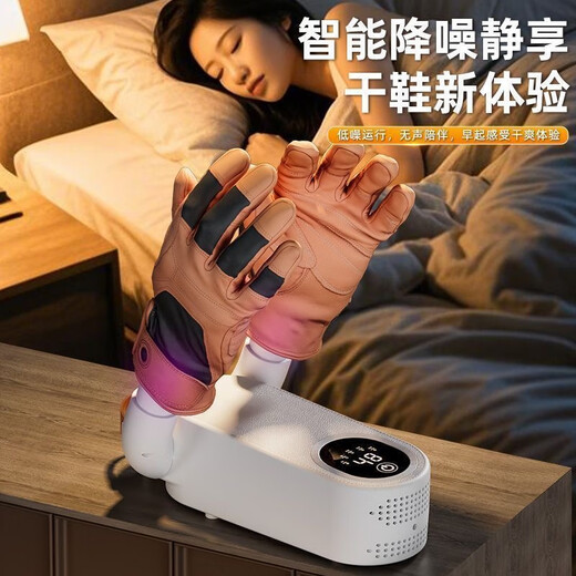 Smart shoe dryer, deodorizing and sterilizing shoe drying machine, wet and dry shoe drying device for household use, 25 new models, smart timer + quick drying and deodorizing