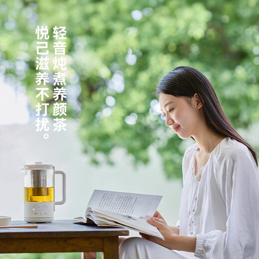 Olayks instant pure titanium health kettle mini stew kettle integrated small fully automatic constant temperature kettle office kettle tea maker 0.6L health electric stew cup