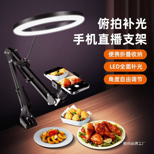 Qizhi special mobile phone holder with portable overhead shooting cantilever straight shelf wall hanging gourmet calligraphy beads floor-standing heightening model + 26cm shadowless lamp + remote control