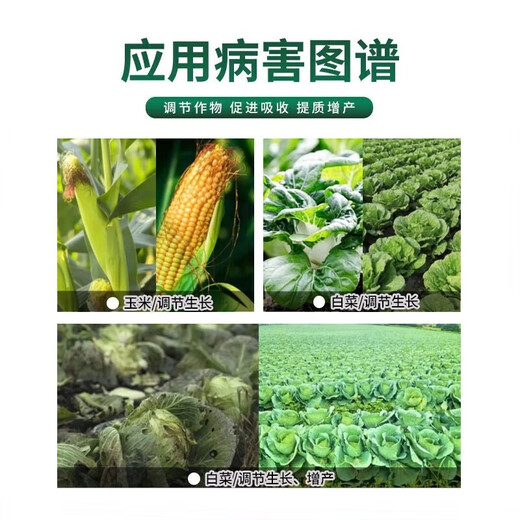 Guoguang Youlehong 8% ethyl ethyl ester coloring increases root production, promotes cell division, preserves flowers and fruits, growth regulator 8% ethyl ethyl ethyl 500ml