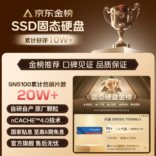 Disque SSD Western Digital Interface SanDisk SN5100 M.2 (NVMe PCIe 4.0) Accessoires pour ordinateurs portables AI Puces originales non tombées ou fausses spécifications SN5100 | 1 To, 7 100 Mo/s