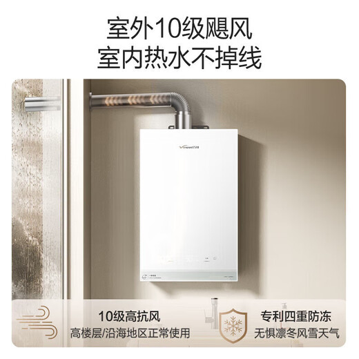 Wanhe Cardamom R6 Level 1 Constant Temperature State Subsidy 16L Gas Water Heater Natural Gas Energy Saving DC Frequency Conversion Booster Large Water Volume Trade-In Pear Blossom White 16L Energy Saving Constant Temperature Double 1 Level - Booster Constant Temperature | R6 TURBO