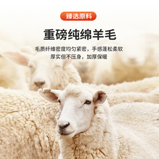 Antonio 600G heavyweight thickened 100% sheep wool light luxury wool cardigan men's casual knitted jacket