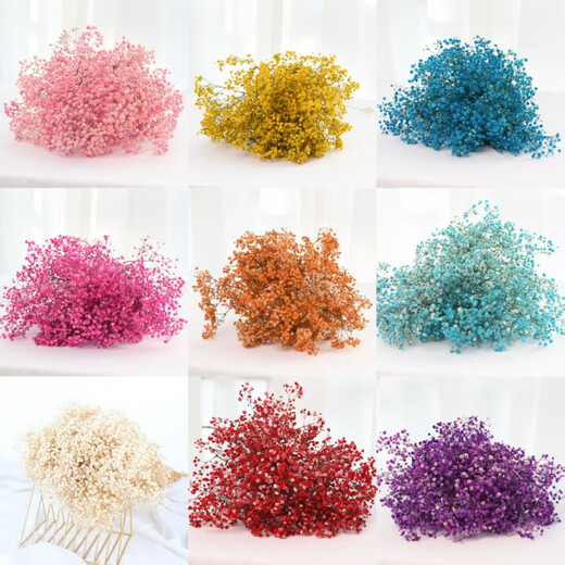 Gypsophila dried flower bouquet preserved flower material cherry blossom powder