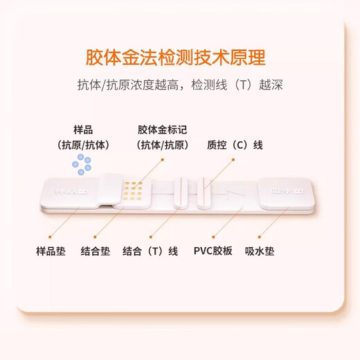 DASKSHA Rabies Virus Test Card Rabies Virus Test Paper Rabies Vaccine Dog and Cat Rabies RBV Virus Test Card