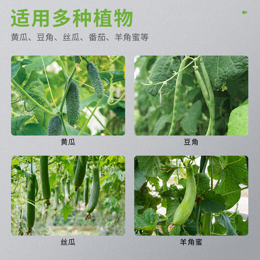 Plastic-coated steel pipe gardening support pole, cucumber, beans, grapes, vegetable climbing pergola, green plant rack, climbing frame, diameter 11mm, length 180cm, 10-pack