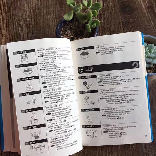 Ein kompletter Satz mit 4 Bänden. Lernen Sie Englisch ohne Grundkenntnisse. Lernen Sie Chinesisch und sprechen Sie Englisch + Grammatikwörter. Chinesische homophone chinesische Schriftzeichen. Englisches Erinnerungsbuch. Sprechen Sie sofort Englisch. Keine Grundlagen. Selbstlernbuch für Erwachsene zur täglichen Kommunikation der gesprochenen Sprache. Lernen Sie 3000 englische Wörter, indem Sie sich Bilder ansehen.