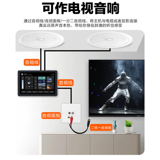 JBL C6IC national subsidy ceiling home theater audio set living room commercial high-end background music invisible speaker smart host