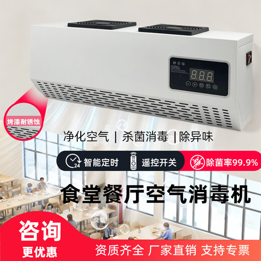 Aijenu wall-mounted ozone sterilizer food factory clean workshop canteen school deodorization formaldehyde sterilization generator 10g paint resistant to rust (remote control + appointment timer)