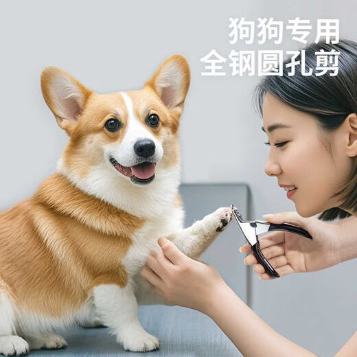 AI Pet Supplies Dog Nail Clippers Cat Nail Clipper Cat Claw Trimmer Artifact Nail Clipper Cleaning Supplies Black Round Hole All Steel Material