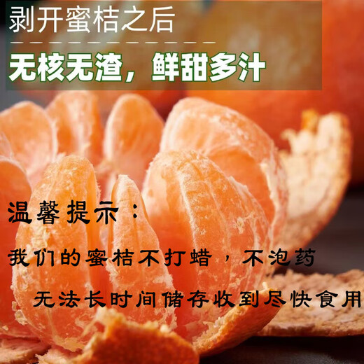 Shengrong Fruits and Vegetables Linhai Yongquan Mandarin Oranges SF/EMS-Next Day Delivery to Many Places Huangyan Mandarin Oranges Seasonal Fresh Fruits Tribute Grade Single Fruit 70-80mm Best Choice for Gifts 10Jin Jin Equivalent to 0.5kg Gift Box Premium Yongquan Mandarin Oranges Net 9Jin Jin Equivalent to 0.5kg