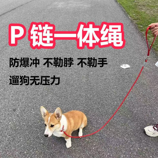 Dog training dog leash, professional all-in-one explosion-proof small and medium-sized dog leash, dog walking P chain, pet leash - with ring type - dark gray - 1 piece