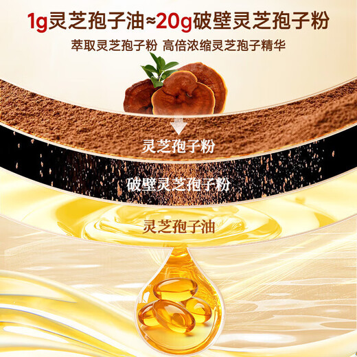 Beijing Tongrentang Ganoderma-Sporenöl-Weichkapselpulver wird im Innenbereich zur Stärkung der Immunität verwendet, Nahrungsergänzungsmittel für Menschen mittleren Alters und ältere Menschen mit geringer Immunität, Geschenkbox 1 Flasche, Blue Hat Health Products 1 Flasche, 40 Kapseln, Ganoderma-Sporenpulver