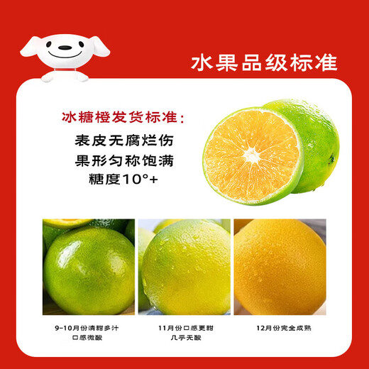 趣尝鲜云南高山冰糖橙 4.5斤装 单果120g+ 酸甜口感 时令生鲜 源头直发