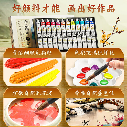 Benyi 12 Color Chinese Painting Set Chinese Painting Pigments Beginner Set Chinese Painting Supplies Tools Complete Set of Ink Painting for Primary School Students and Children Entry-Level Professional Advanced Meticulous Painting