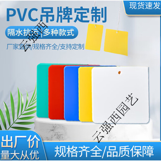 塑料PVC吊牌植物标牌树木记号牌分类色卡防水防晒防油花卉 白50丝8*5=100张