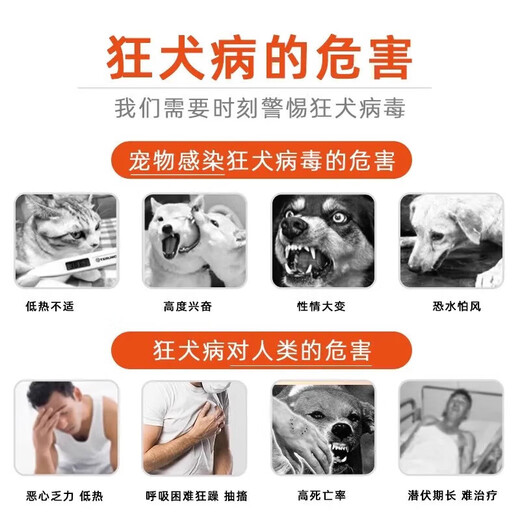 DASKSHA Rabies Virus Test Card Rabies Virus Test Paper Rabies Vaccine Dog and Cat Rabies RBV Virus Test Card