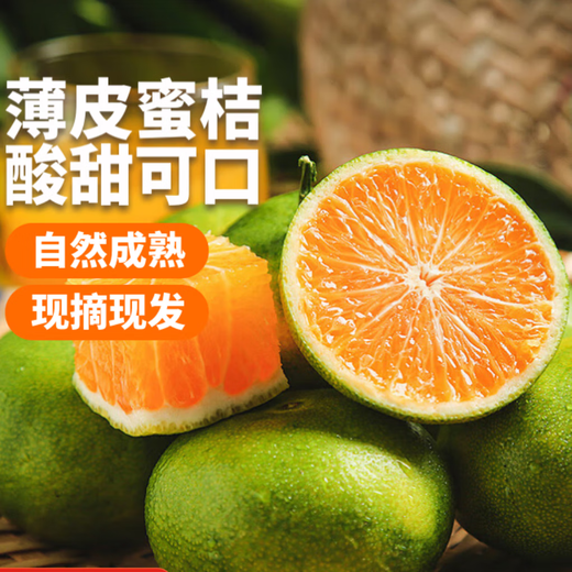宜昌青皮蜜橘孕妇水果易剥皮应季水果橘子农家自种 三级果 宜昌蜜桔 三级果/带箱6斤