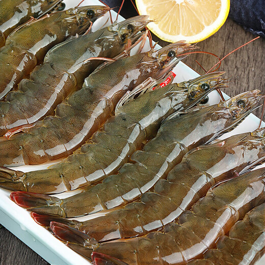 青岛大虾特大号生鲜活速冻海虾青岛大虾海鲜冷冻海捕对虾白虾 18-22cm海捕虾王（整盒3斤）