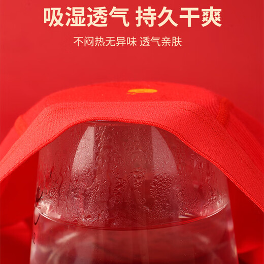 Catman children's red underwear boy's zodiac year type A cotton antibacterial boy big boy student horse year baby shorts shorts immediate success 4 pieces type A cotton antibacterial 170 recommended 155-165cm 70-85Jin Jin is equal to 0.5 kg