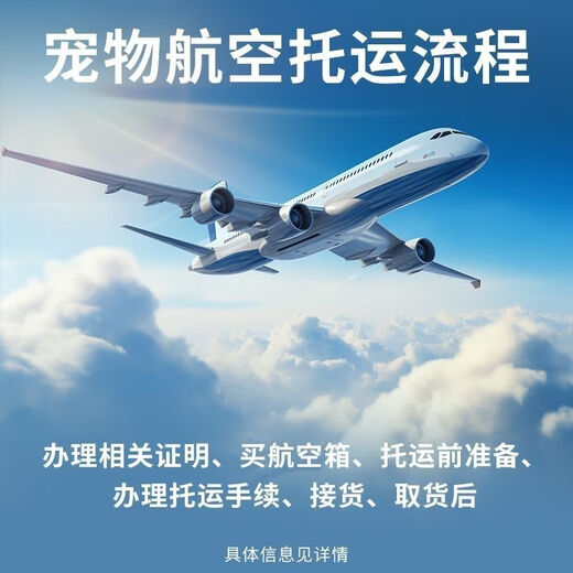 MODX国际航空标准宠物航空箱猫笼狗笼外出托运便携箱金属门窗符合IATA 国航款1号箱 送挂碗+尿板+尿片