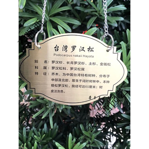 Stainless steel tree sign spring tension spring rope hanging chain stainless steel material can be retracted without damaging the tree sign sign customization stainless steel 0.8*20CM spring including one screw 0x0cm