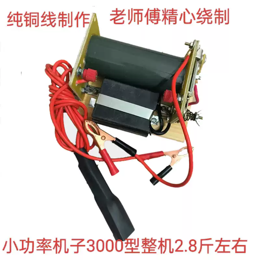 Old-fashioned platinum machine head inverter pure copper coil booster 12v battery power supply manual power-saving lighting transformer small power 3000 type is not recommended