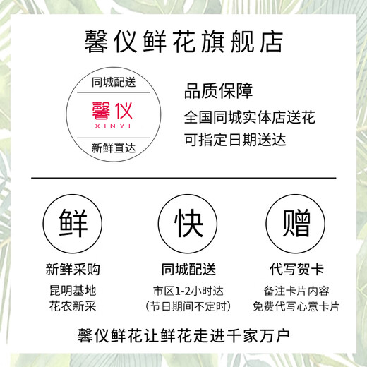 Xinyi Flower Express Roses and Carnations Bouquets as Gifts for Mom and Elders Nationwide Flower Delivery in the City 19 Carnations and Lilies Mixed and Matched Bouquets in Gypsophila Style