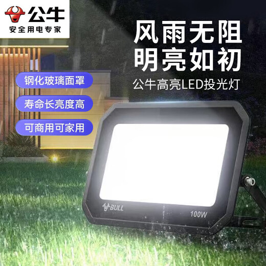 Bull (BULL) LED floodlight outdoor courtyard factory garden light camping light IP65 waterproof grade 100W Wanjiang series MG-D100A-AE-6500K white light