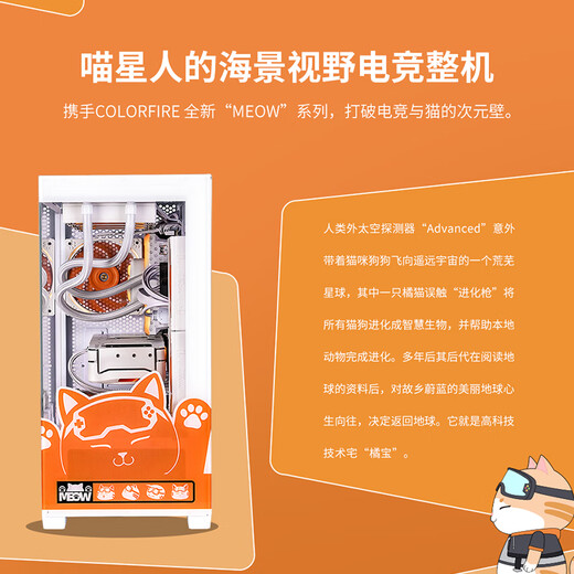 Colorful Orange Cat customized host Core i5 13400F RTX5060Ti graphics card desktop computer 4060Ti chicken game AI live broadcast design DIY assembly machine equipped with four丨13400F丨RTX5060Ti 8G丨32GB memory