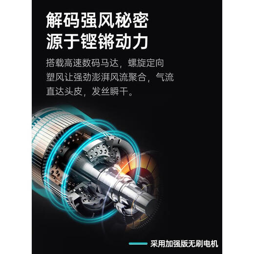 Leifen upgraded version National 3C certification丨5 billion negative ion hair care official flagship high-speed hair care negative ion hair dryer for home use 2025 Leifen leafless hair dryer high-grade gray-single nozzle 1.8 meters + hanger