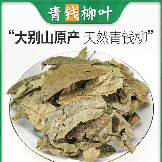 Beijing Tongrentang Chinese medicinal materials Green Qianliu leaves 500g Qingqianliu ancient tree Qianqianliu tea with burdock, corn silk and mulberry leaf tea Qingqianliu 250g