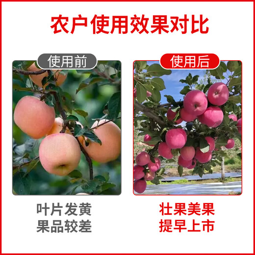 Mineral potassium fulvic acid gold water-soluble fertilizer barreled soil improvement soil rooting and tree strengthening agricultural household Zhuanglikang 19-19-19 balanced type 25kg 1 bag (flushed to one acre of land)