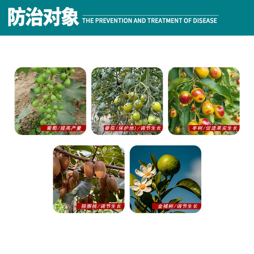 Yiguoling Thibenfuron genuine brand old brand grape big fruit fruit setting spirit tomato expansion agent growth regulator 30mlX4 bottles