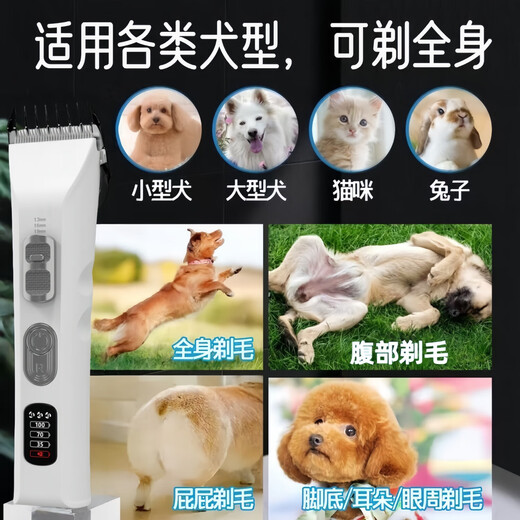 Pet hair clipper, silent, safe and non-irritating, ceramic head, long lasting, free delivery D9 R-type rounded corner head + standard accessories