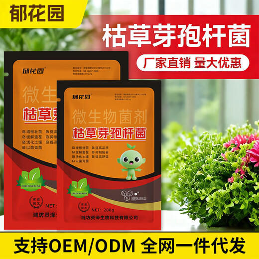 Bacillus subtilis agricultural microorganism bacterium Fusarium wilt root rot powdery mildew rust soil-borne disease prevention root trial pack 200g Bacillus subtilis * 1 bag