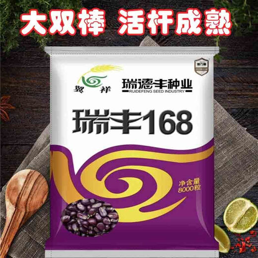 Original Ruifeng 168 corn seeds, stable yield, drought-tolerant, deep grain, capped, no bald tip, strong resistance, Ruifeng 168, 8000 grains in a bag