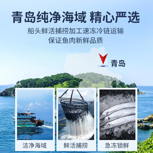 Selling Fish Qilang Frozen Deep Sea Four Finger Width Extra Large Hairtail Segment Middle Section Net Weight 1.8 Jin Jin is equal to 0.5 kg, about 6-8 segments, fresh saury fish