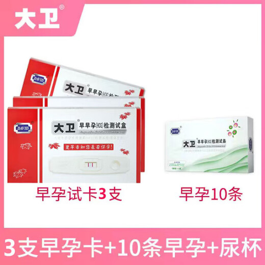 Universeller Schwangerschaftsteststab, Frühschwangerschaftskarte, Schwangerschaftstestpapier, hochpräzise Schwangerschaftstestkarte für Frauen, 1 Schwangerschaftstestkarte + 10 Teststreifen, Tropfer + Urinbecher