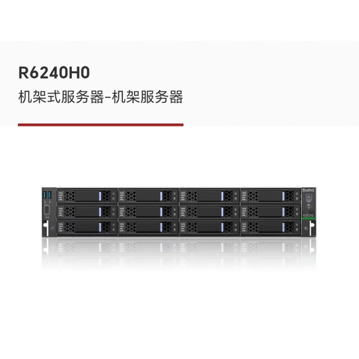 Suma中科可控R6240H0/R6250H0双路服务器主机国产信创海光处理器 硬盘 R6240 硬盘连接线