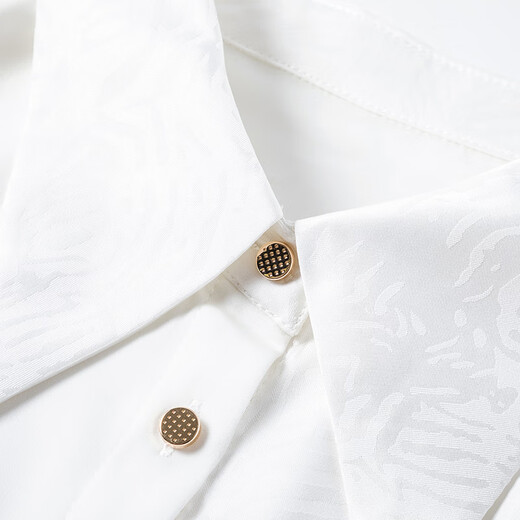 Late White New Product Commuting Versatile White Shirt Women 2025 Autumn Style Solid Color Simple OL Long Sleeve Shirt Women White M