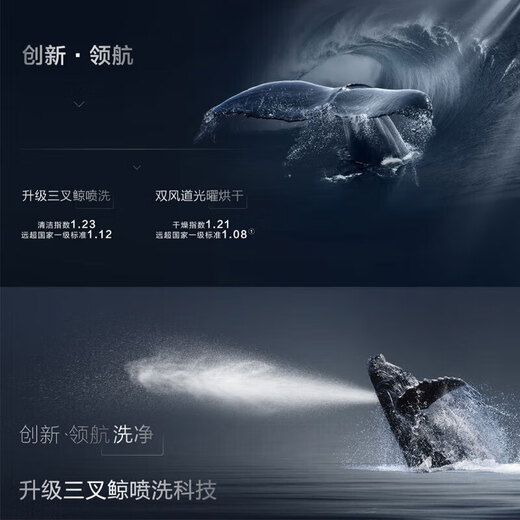 ROBAM boss Robam/boss W76S1L/H901/B500/H600/S2/WB735/WB736/dishwasher WB715 offline same model