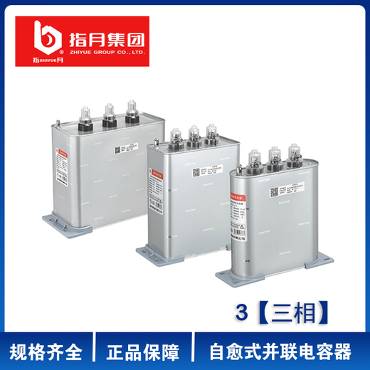 Zhiyue Group BSMJ0.4/0.45/0.48kv self-healing low-voltage parallel power capacitor single-phase/three-phase BSMJ 0.48kv_50kvar-3