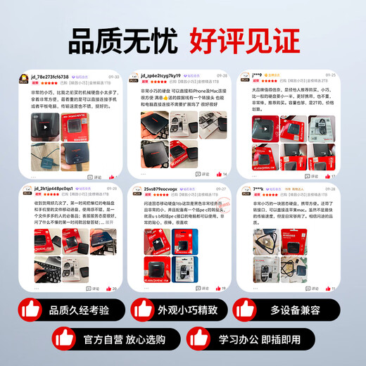 闪迪（SanDisk）ELE™2TB 移动固态硬盘（PSSD）西数 元素 type-c接口 小巧便携 手机直连笔记本两用外接 办公存储