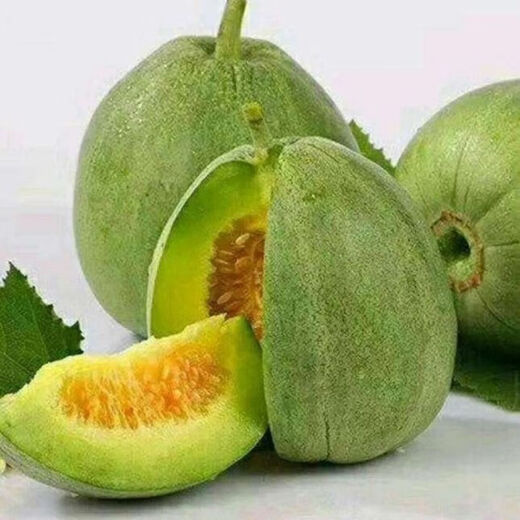 Emerald melon seeds, thin-skinned, super-sweet cantaloupe seeds, spring green-skinned, crispy melons for all seasons, early-maturing, high-yielding cantaloupe seeds, emerald melon seeds/pack, about 100 pieces, 3 packs