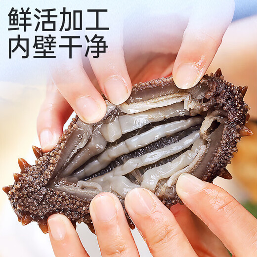Single ready-to-eat sea cucumber gift box Dalian sea cucumber Dalian specialty sea cucumber thawed ready-to-eat high quality about 8-10cm/piece high quality 30 pieces