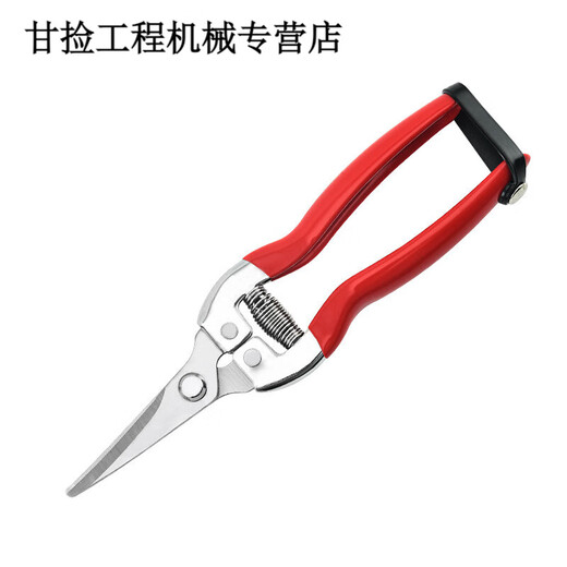 Qiaobolainong helper fruit picking scissors, fruit thinning scissors, grape flower thinning scissors, flower pruning scissors, citrus pepper special fruit picking scissors, straight head dipping scissors