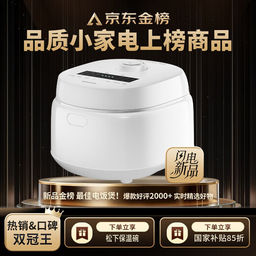 Subvention nationale Panasonic (Panasonic)